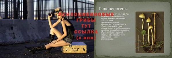 шишки Наволоки