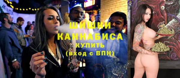гашик Тайга
